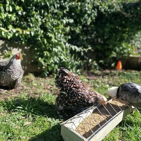 Suite Bachi Da Seta Boutique In Ello Appartamento Vergano